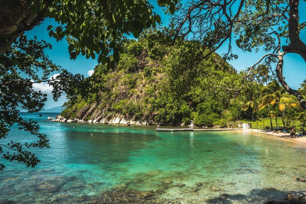 Caraibes Cottage Grenat Piscine Privee 900M De Grande Anse Деше Экстерьер фото