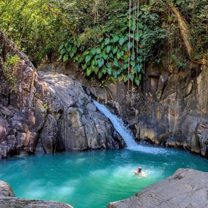 Caraibes Cottage Grenat Piscine Privee 900M De Grande Anse Деше Экстерьер фото