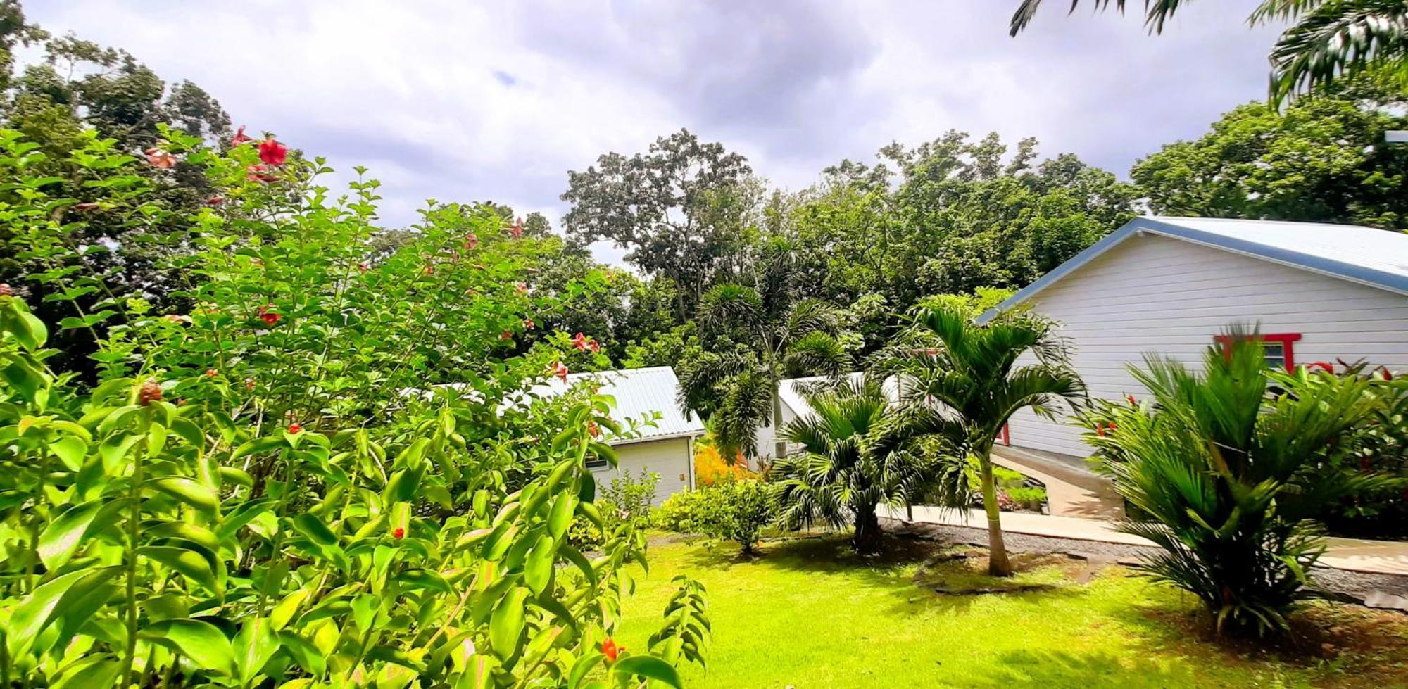 Caraibes Cottage Grenat Piscine Privee 900M De Grande Anse Деше Экстерьер фото