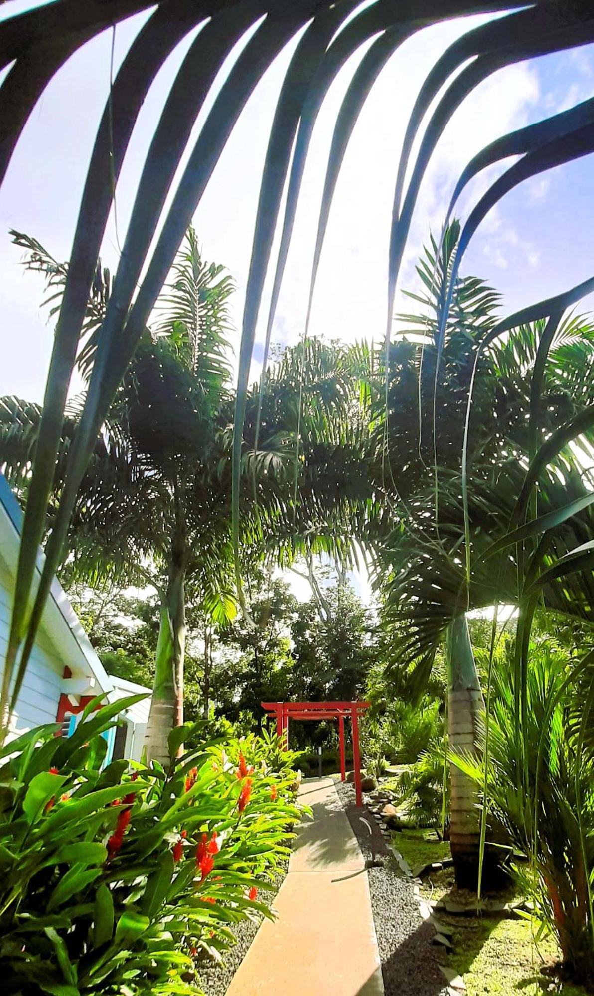 Caraibes Cottage Grenat Piscine Privee 900M De Grande Anse Деше Экстерьер фото