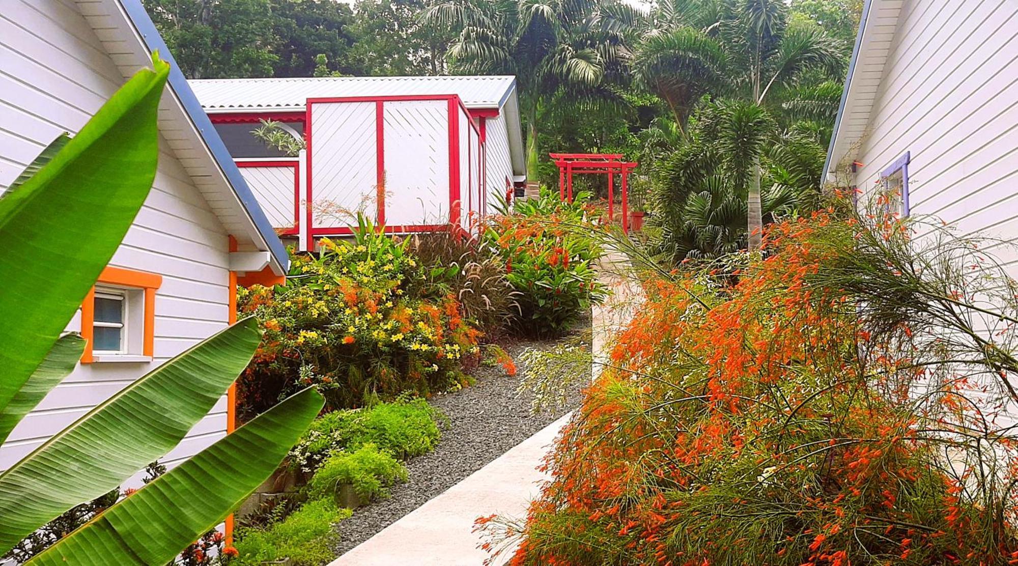 Caraibes Cottage Grenat Piscine Privee 900M De Grande Anse Деше Экстерьер фото